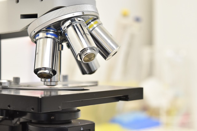 新癸酸鉍催化劑在聚氨酯催化體系中的應用與性能優化