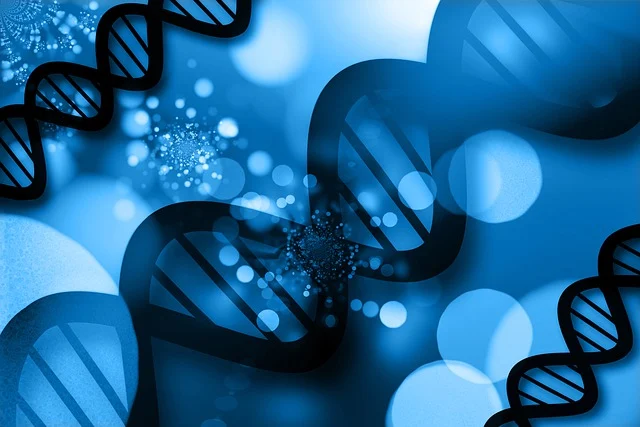 聚氨酯表面活性劑在聚氨酯泡沫發(fā)泡均勻性和閉孔率控制中的關(guān)鍵作用